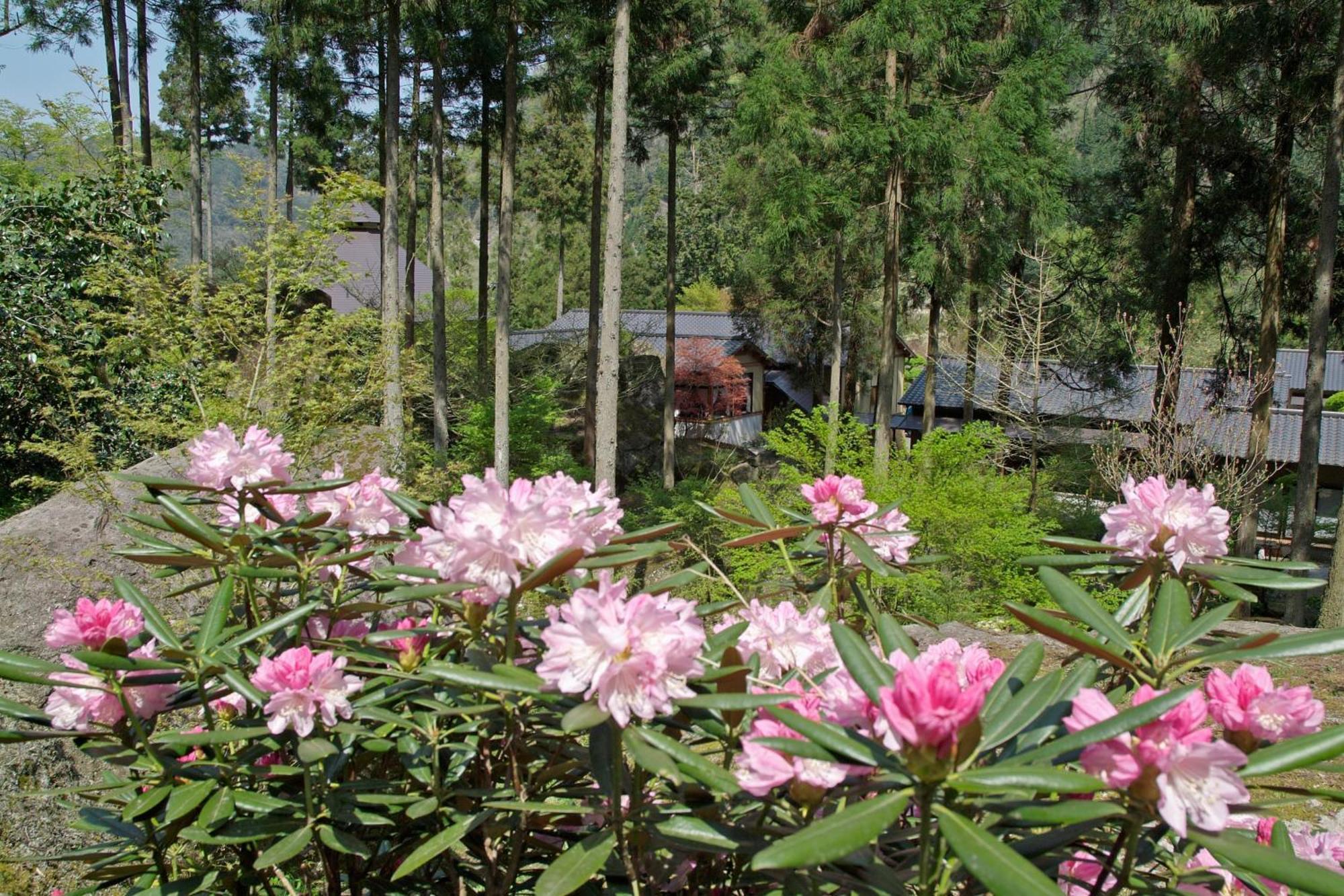 Auberge Funoki Nakatsu Luaran gambar