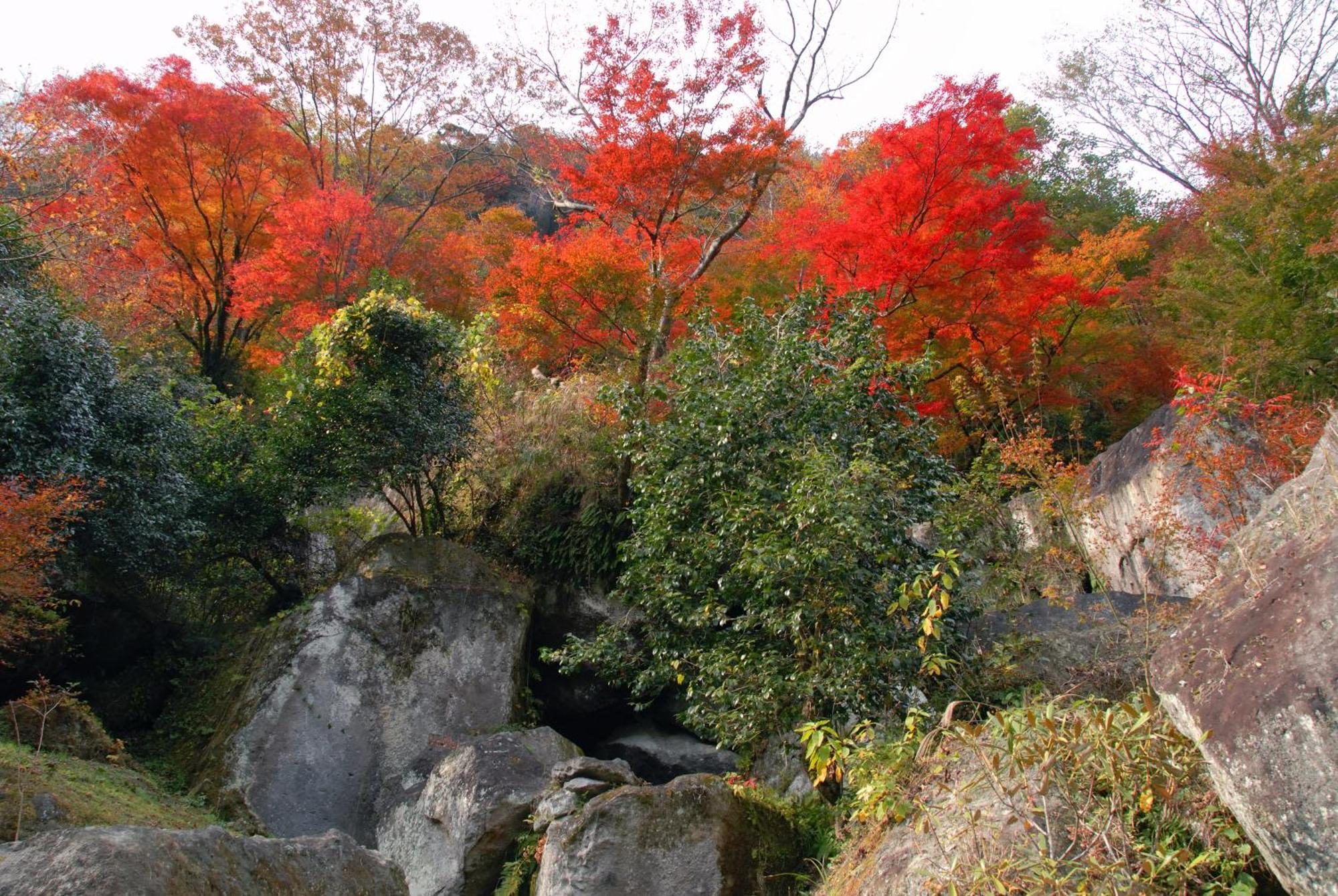 Auberge Funoki Nakatsu Luaran gambar