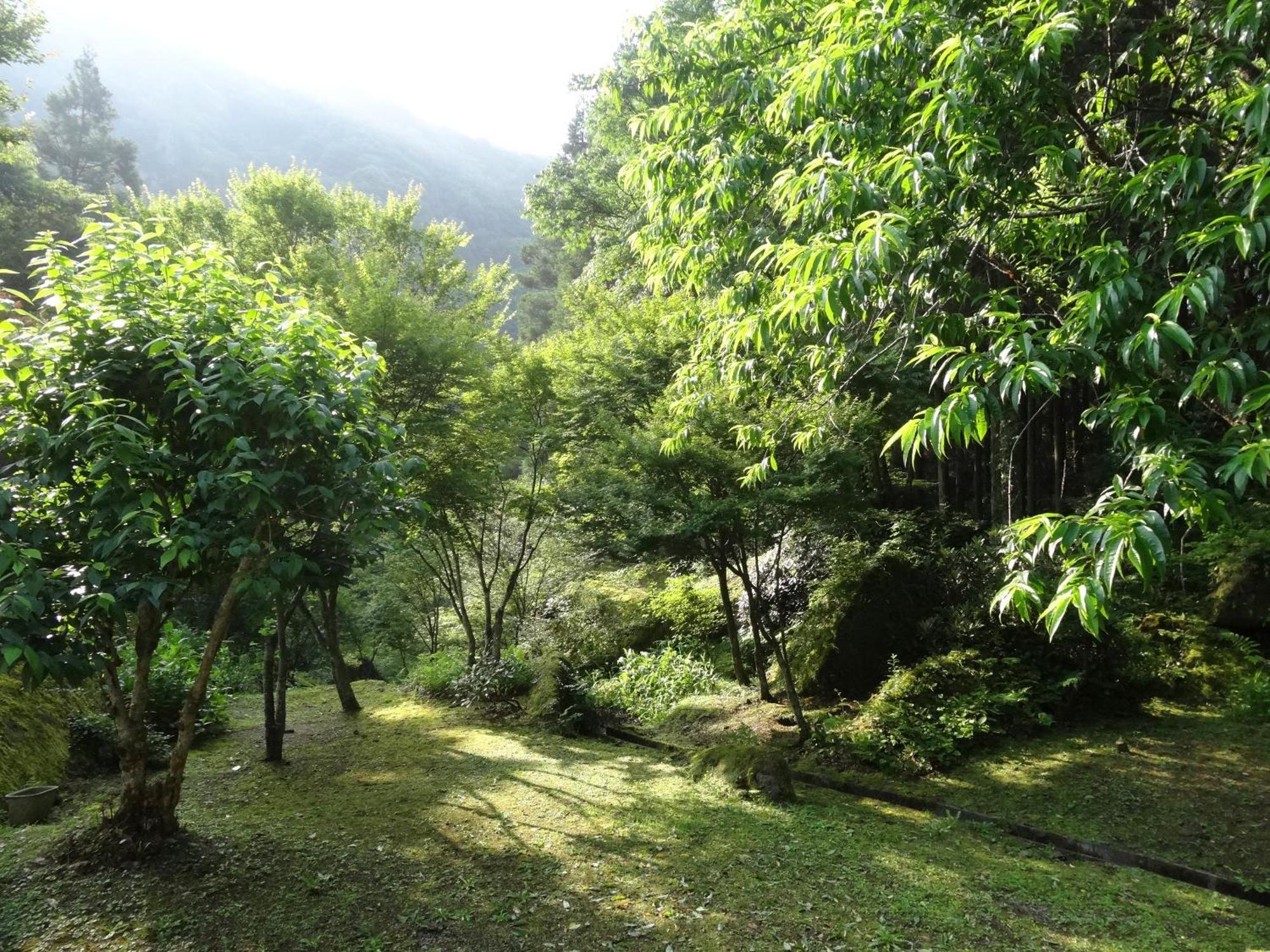 Auberge Funoki Nakatsu Luaran gambar